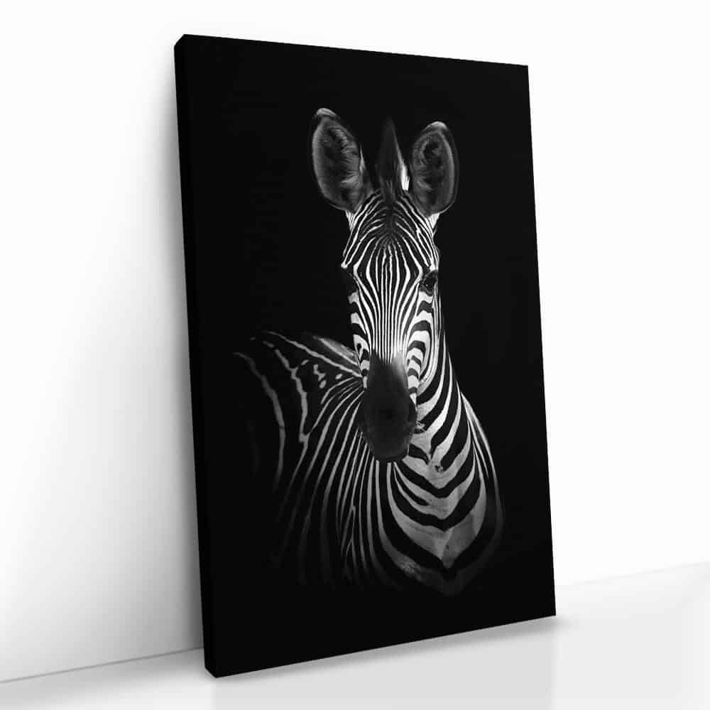 "The Zebra"