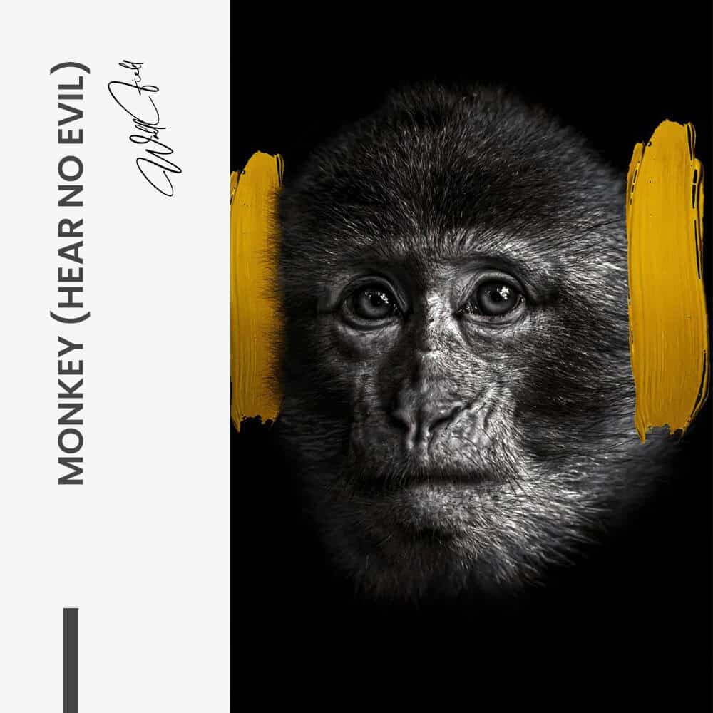 Bundle: “3 Wise Monkeys” (3x) - Verre
