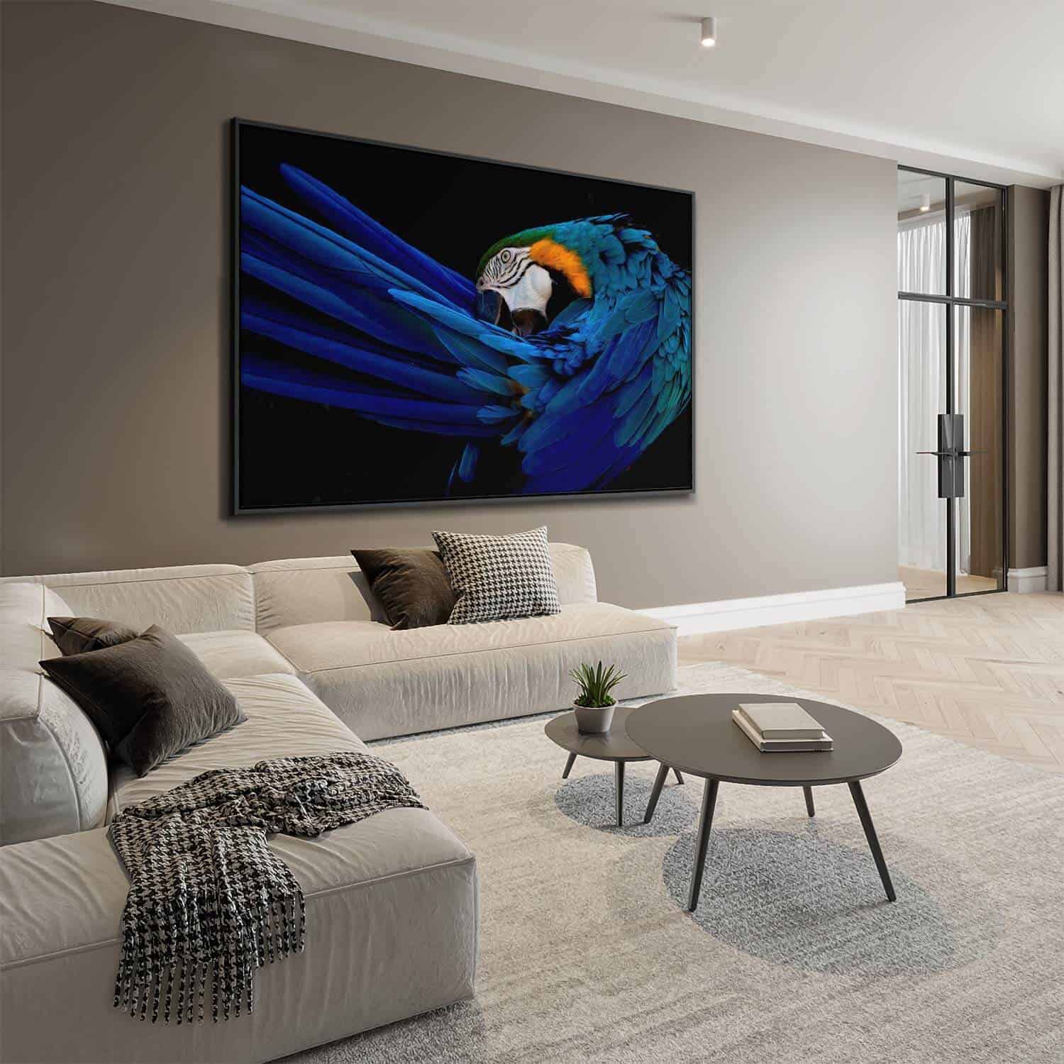 "The Parrot"