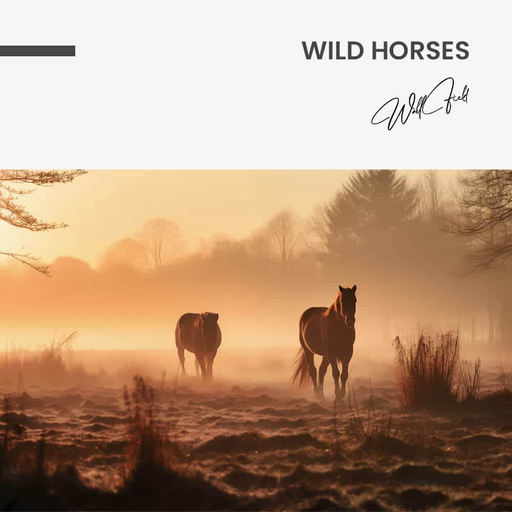 Wild Horses – Verre