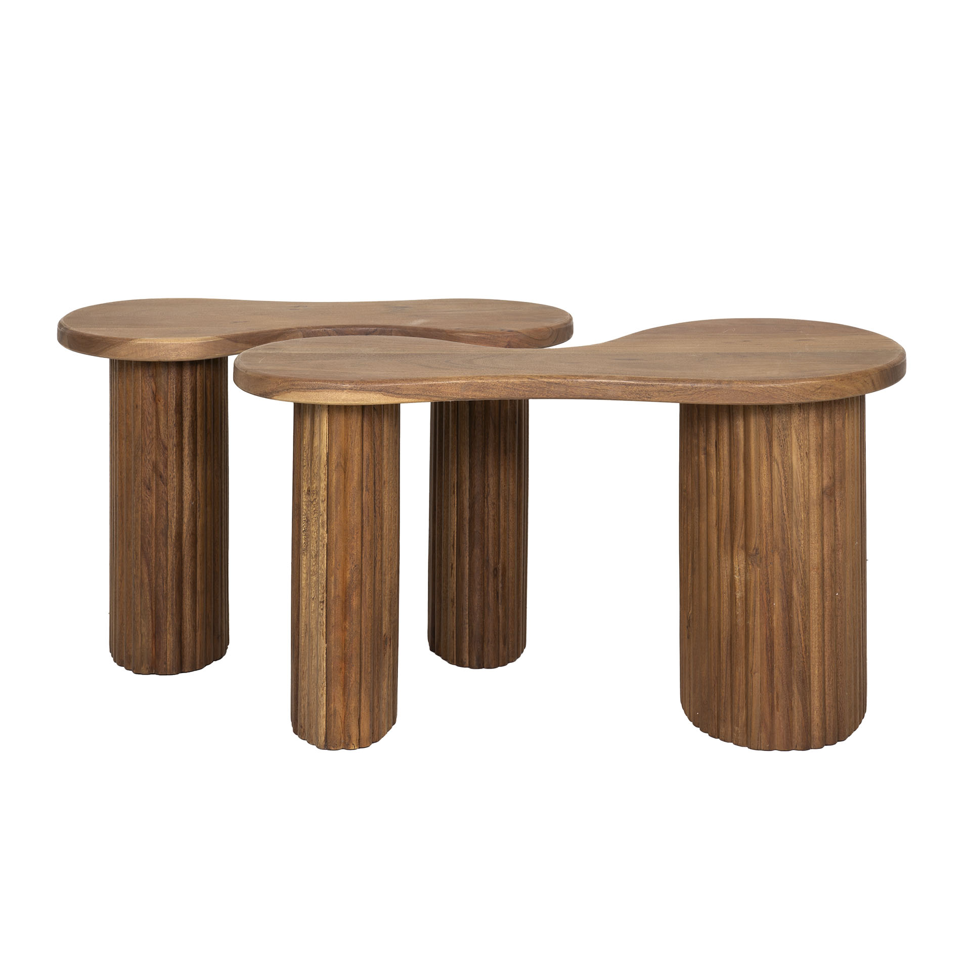 Ensemble table basse/2 fusibles
