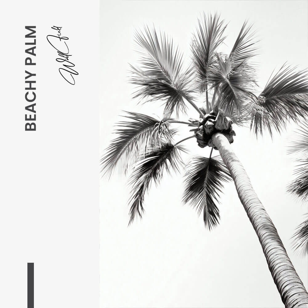 Beachy Palm - Verre