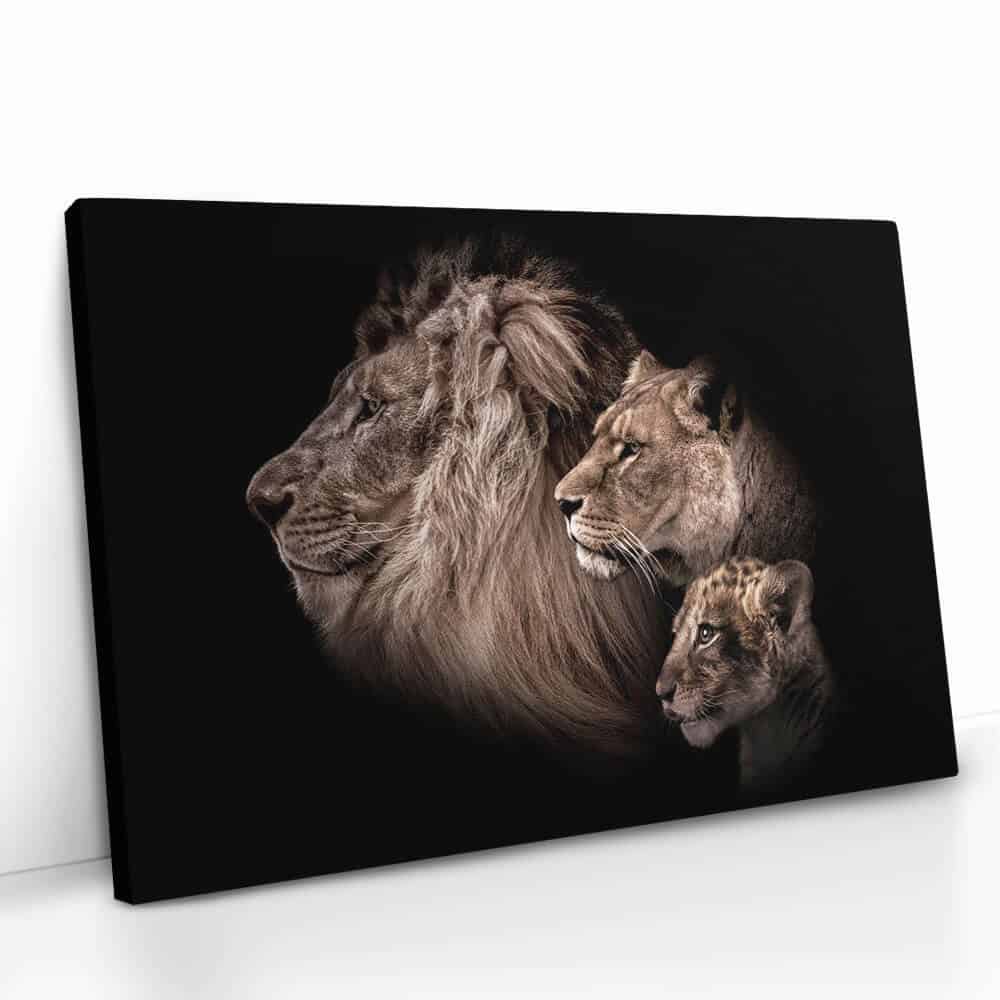 "Lion Family"