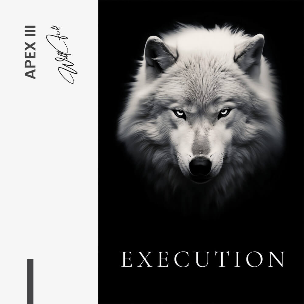 Bundle: "Apex" (3x) – Verre