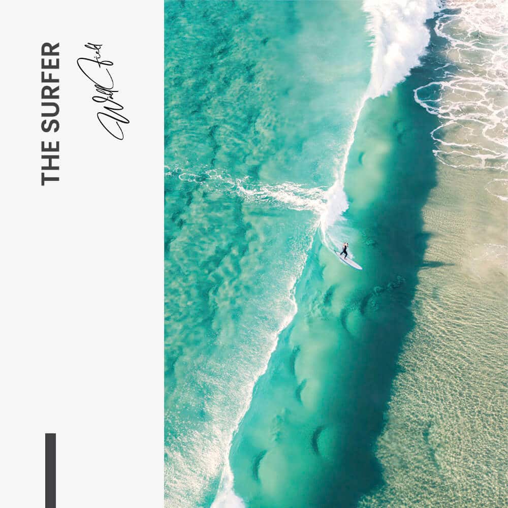 "The Surfer"