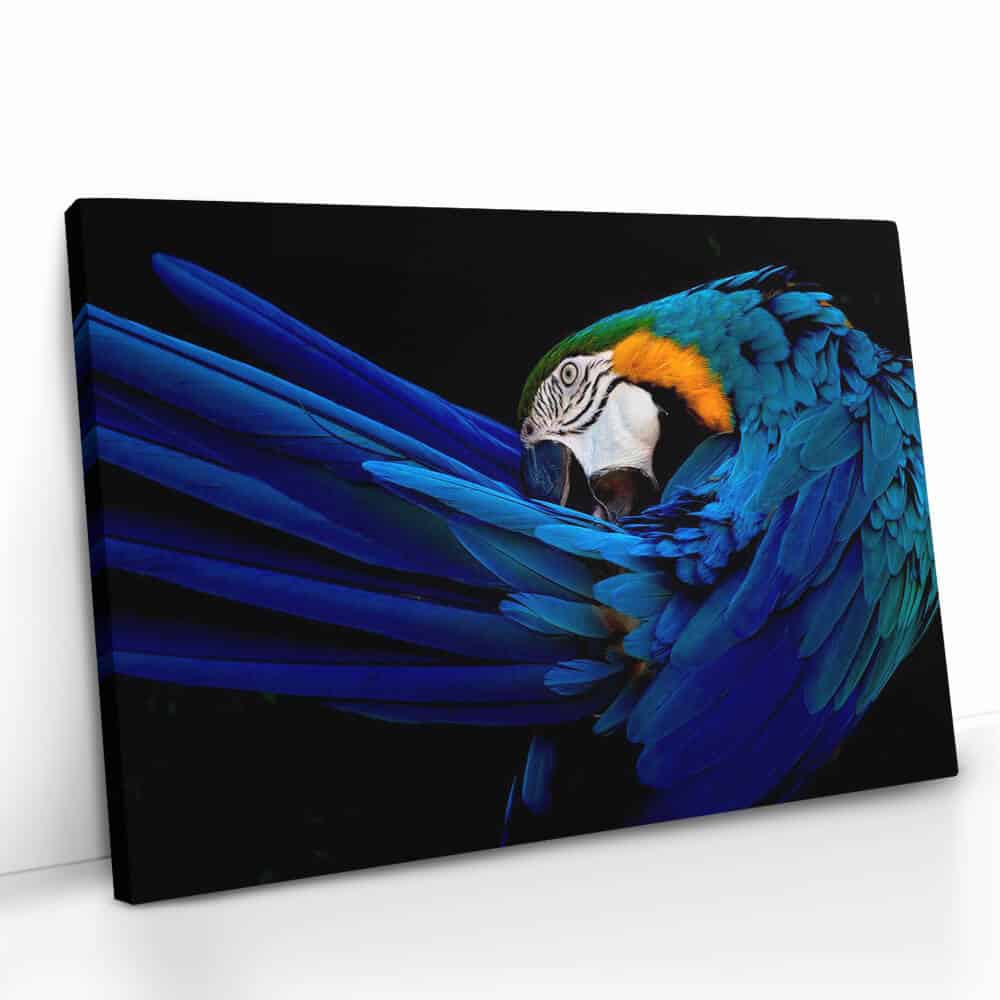"The Parrot"