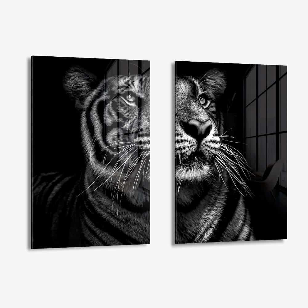 Bundle: "B&W Tiger" (2x) – Verre