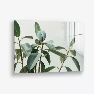 Soft Structure – Verre
