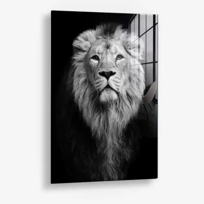 Safari III – Verre