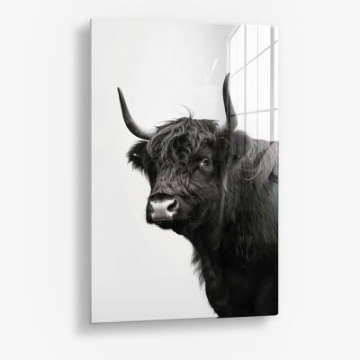 B&W Muscox II – Verre